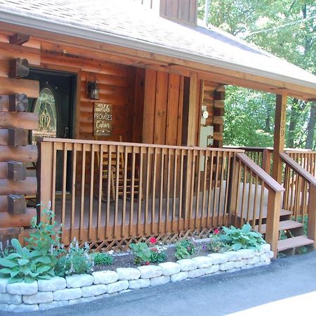 His Promises Cabin 비둘기 포지 외부 사진