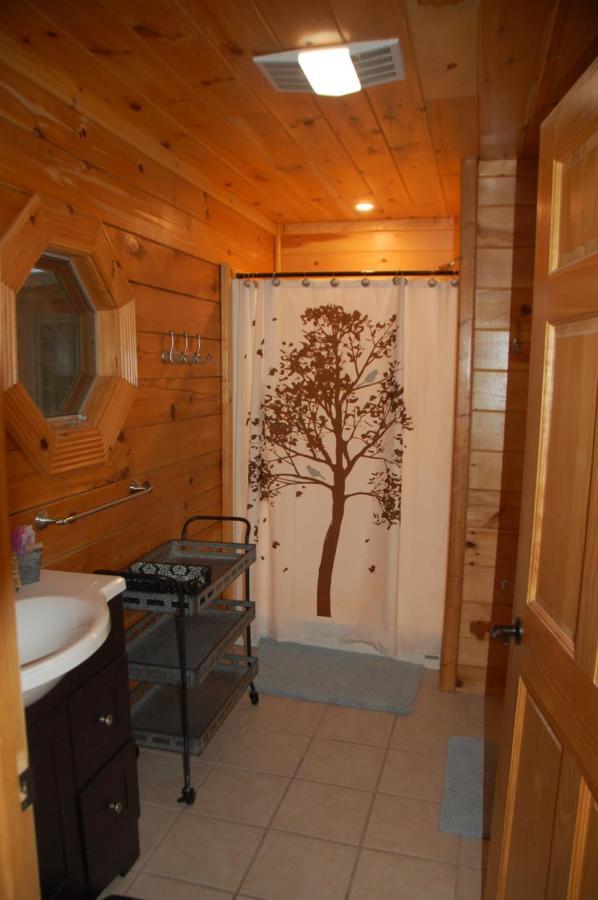 His Promises Cabin 비둘기 포지 외부 사진